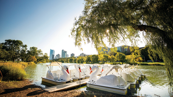 swan boats with scenic view of Veterans Park Lagoon