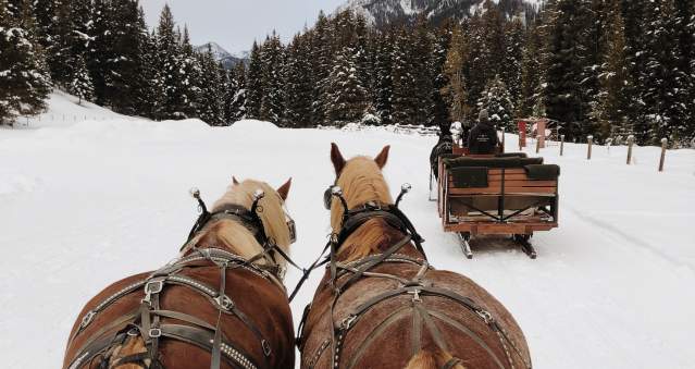 Sleigh Rides in Big Sky