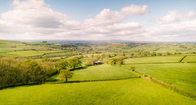 Crediton landscape