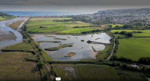 seaton wetlands