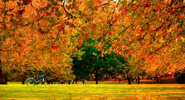 Green Park London The Green Park in autumn. Photo credit David French 2012.