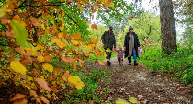 Autumn leaves in foreground with two adults and young child walking along path