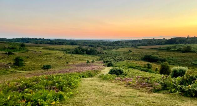 Sunset in the summer at Burley in the New Forest