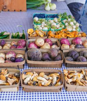 Glens Falls Farmers Market