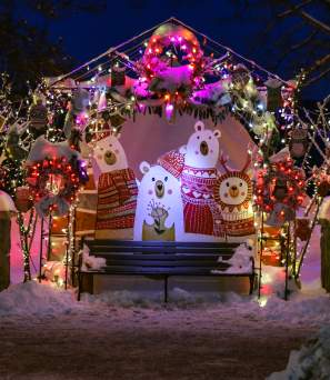 Holiday Lights in Lake George
