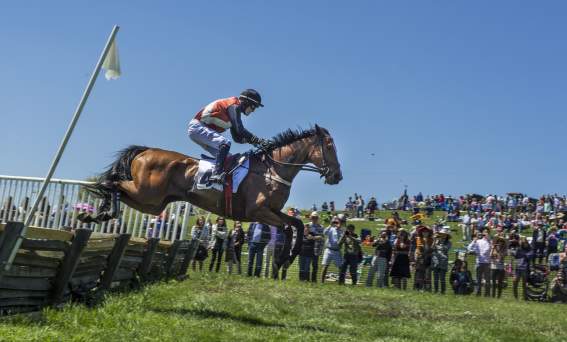 Winterthur's Point-to-Point