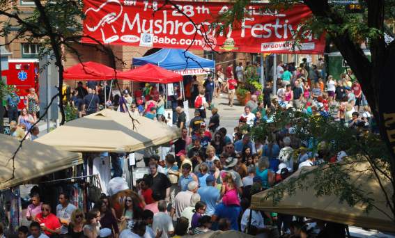 Mushroom Festival