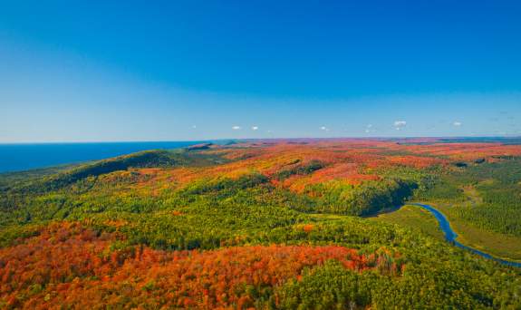 Aerial view of fall colors