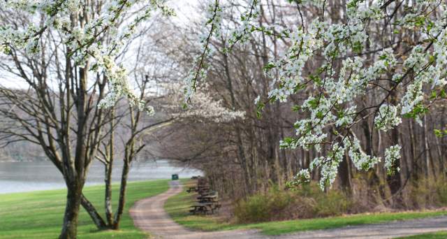 annual-events-in-the-pocono-mountains-fairs-festivals