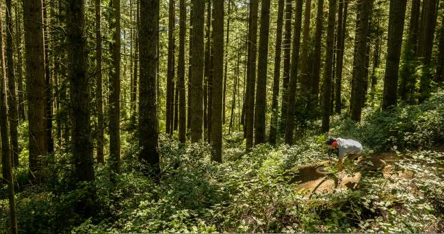 Mountain Biking