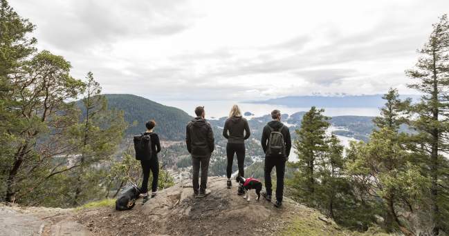 Plan a Dog-Friendly Trip to the Sunshine Coast