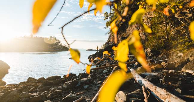 7 Ways to Experience Fall on the Sunshine Coast