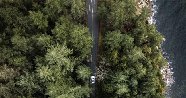 An aerial view of a car driving along a forested road next to the ocean.