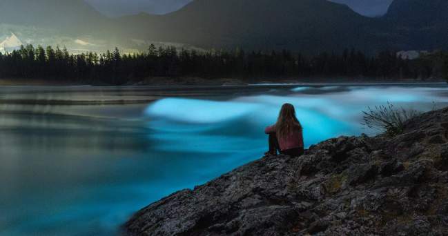 Where to Experience Bioluminescence on the Sunshine Coast
