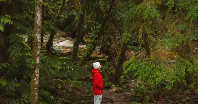 8 Natural Wonders of the Sunshine Coast