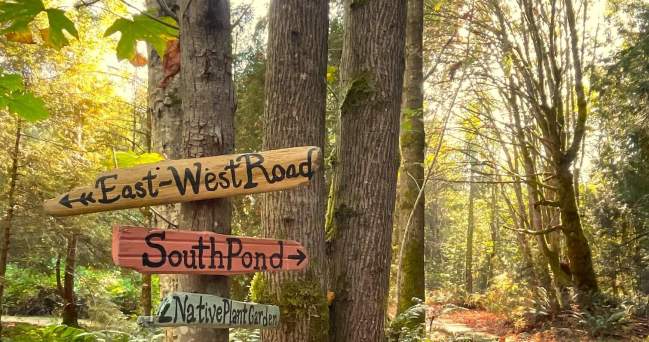 Discover the Sunshine Coast Botanical Garden