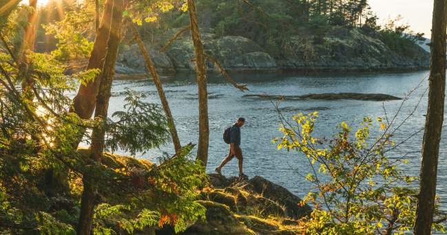 Sunlight gleams through the trees as a man walks along the rocky shore.