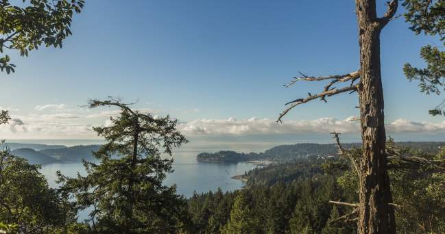The viewpoint at Soames Hill, overlooking Gibsons.
