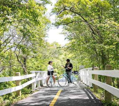 Best Fall Bike Rides