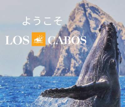 banner japan market los cabos