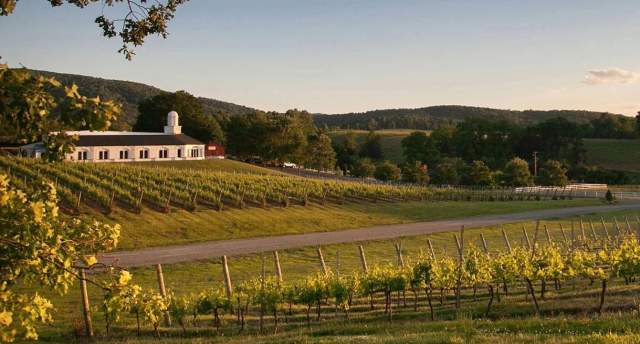 Virginia Wine Virginia Is For Lovers