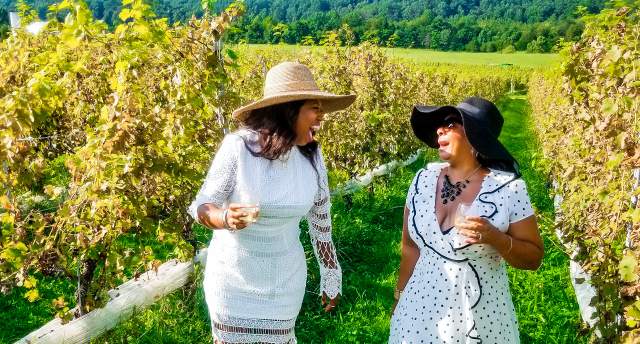 Wine tours best sale