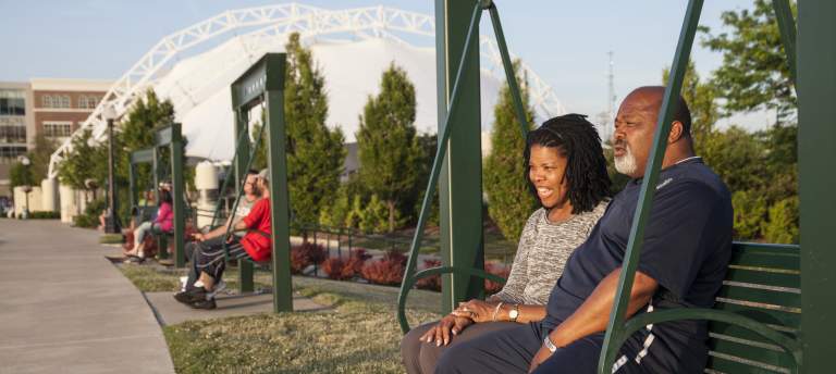 Riverscape Swing