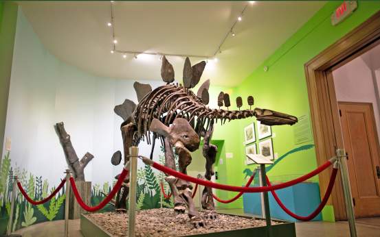 Everhart Museum dinosaur