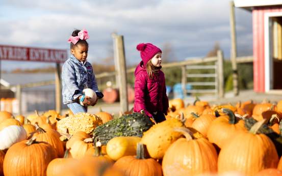 Roba Family Farms