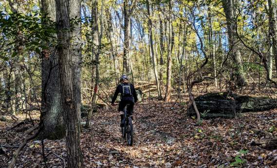 Person riding mountain bike through fall forest
