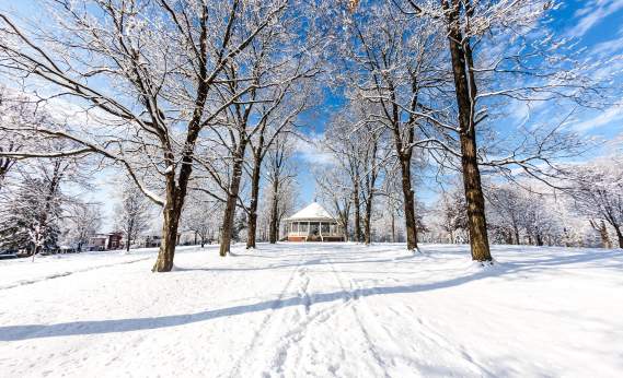 Pavilion In Winter