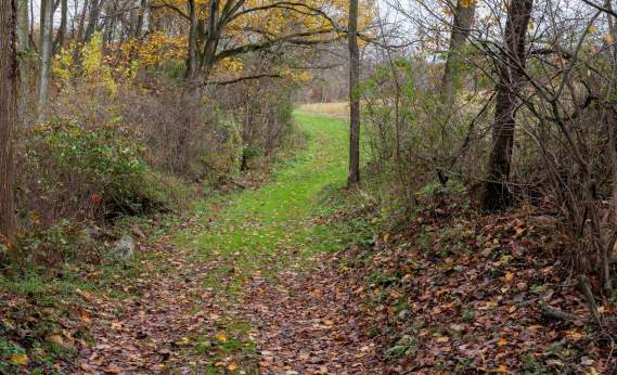 P. Joseph Raab Park