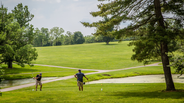 Men golfing