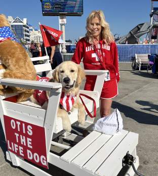 Sunfest Dog Events