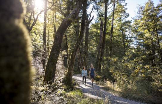 People walking through native bush on the Routeburn Track