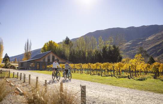 Two people biking next to vines in Gibbston