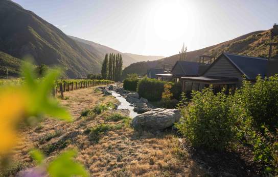 Villa's surrounded by a vineyard and mountains