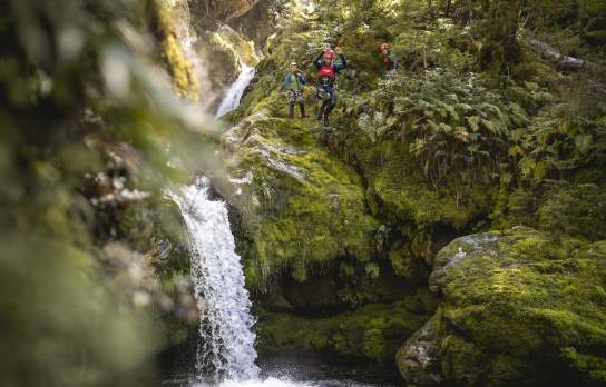 Man jumping off a waterfall surrounded by lush greenery