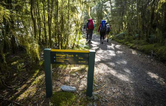 Sign saying Milford Track with three hikers walking with bush in the background