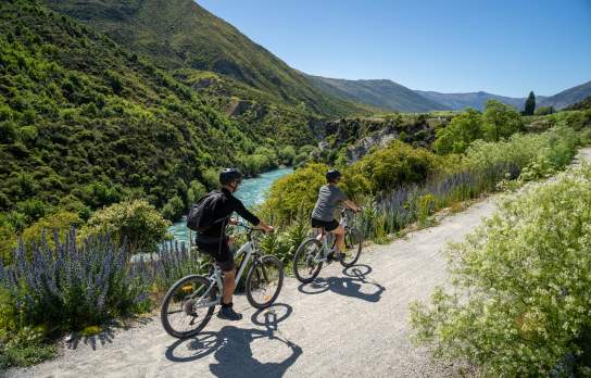 Two people biking along a blue river with wild flowers