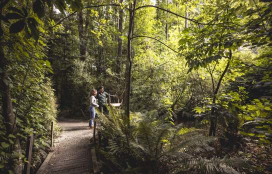 Two people surrounded by native bush at the kiwi park
