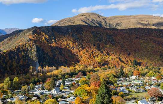 Arrowtown Scenic From Above