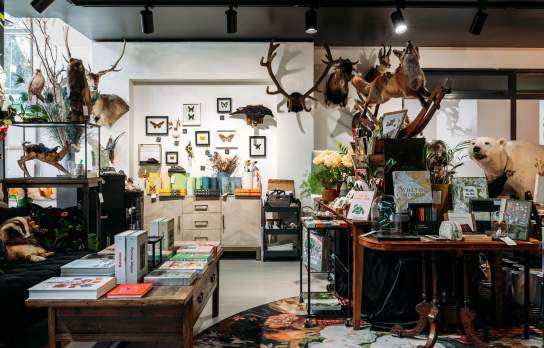 Flora Fauna Gift Store Queenstown