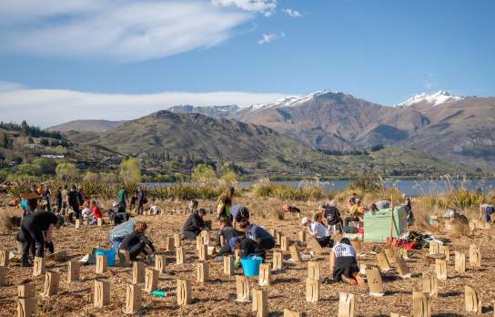 People planting next to a lake a mountains