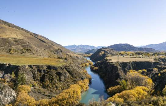 Aerial of the Kawarau River snaking through mountains and vineyards in Gibbston