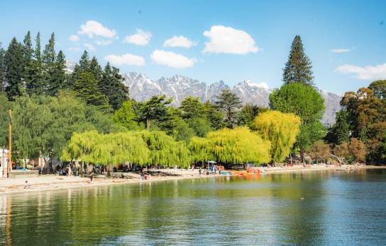 Wide shot of Queenstown bay with green willow trees lining the lake and snow capped mountains in the background