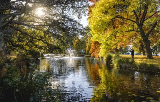 Queenstown Gardens in Autumn, a man takes a photo of a fountain
