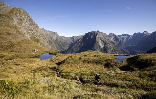 People walking among tussock and tarns and mountain views
