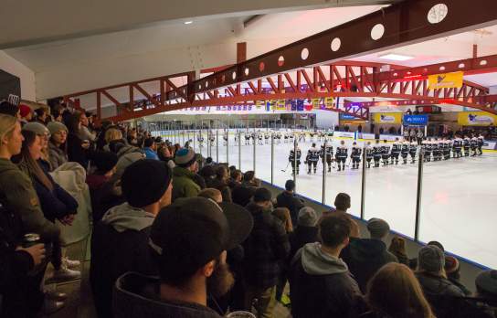 Hockey Crowd