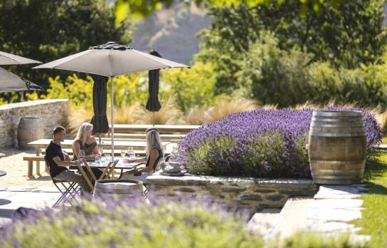 Group of people dining outside in Amsifield Restaurant's courtyard surrounded with purple lavender plants